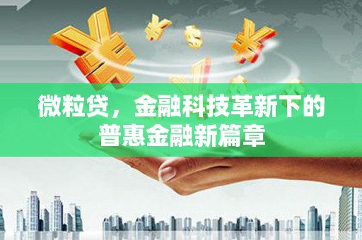 新泰微粒贷，金融科技革新下的普惠金融新篇章