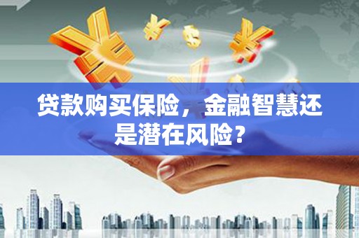 新泰贷款购买保险，金融智慧还是潜在风险？