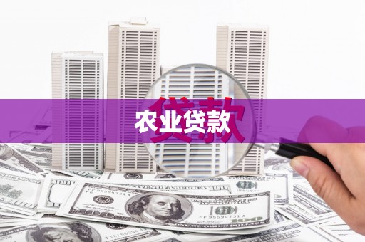 新泰农业贷款