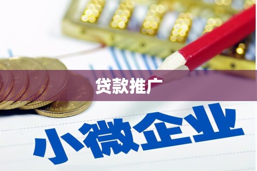 新泰贷款推广