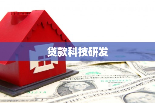 新泰贷款科技研发
