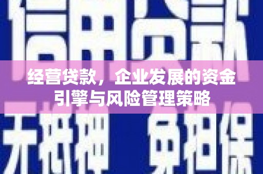 新泰经营贷款，企业发展的资金引擎与风险管理策略