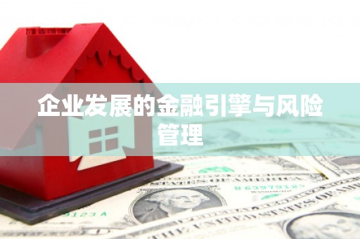 新泰企业发展的金融引擎与风险管理