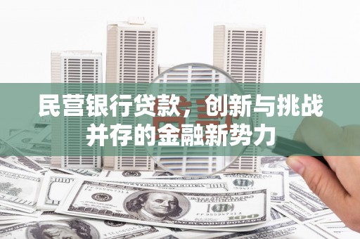 新泰民营银行贷款，创新与挑战并存的金融新势力