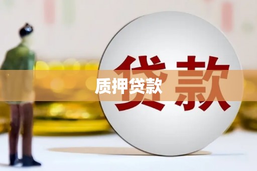 新泰质押贷款