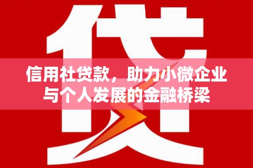 新泰信用社贷款，助力小微企业与个人发展的金融桥梁