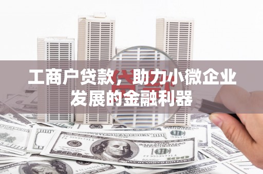 新泰工商户贷款，助力小微企业发展的金融利器