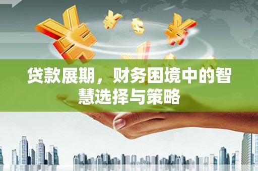 新泰贷款展期，财务困境中的智慧选择与策略