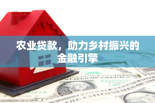 新泰农业贷款，助力乡村振兴的金融引擎