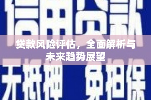 新泰贷款风险评估，全面解析与未来趋势展望