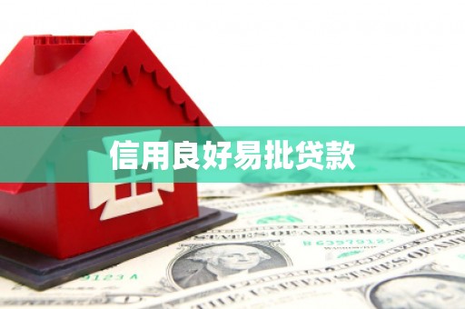 新泰信用良好易批贷款