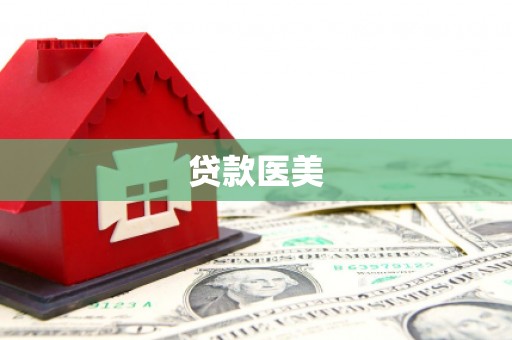 新泰贷款医美