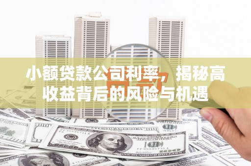 新泰小额贷款公司利率，揭秘高收益背后的风险与机遇