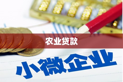 新泰农业贷款