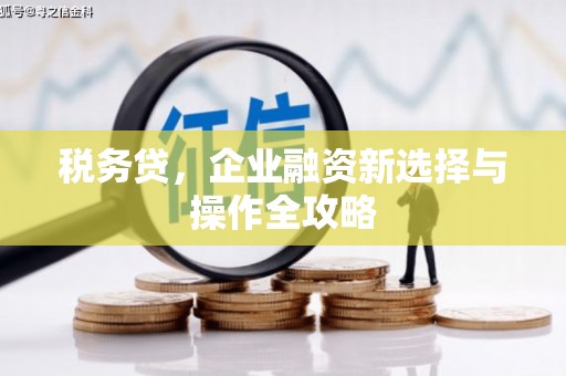 新泰税务贷，企业融资新选择与操作全攻略