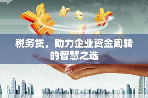 新泰税务贷，助力企业资金周转的智慧之选