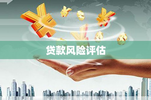新泰贷款风险评估