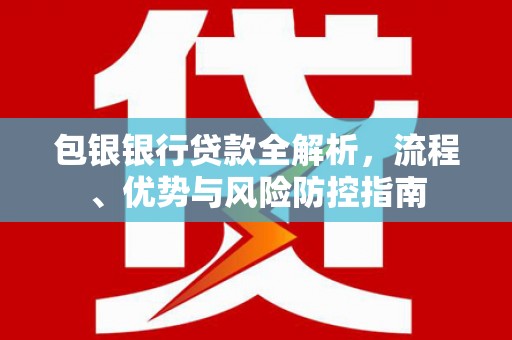 新泰包银银行贷款全解析，流程、优势与风险防控指南