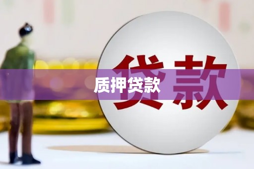 新泰质押贷款
