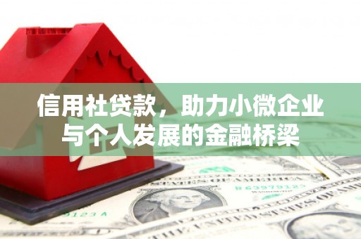 新泰信用社贷款，助力小微企业与个人发展的金融桥梁