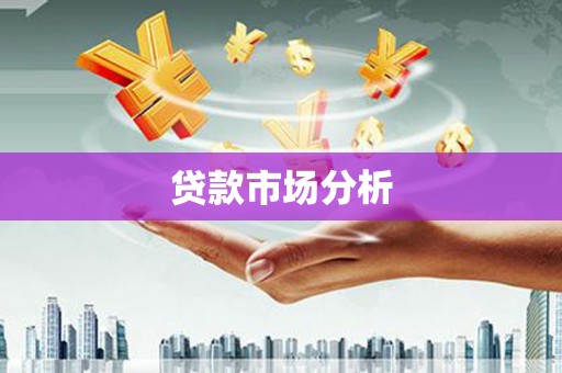 新泰贷款市场分析