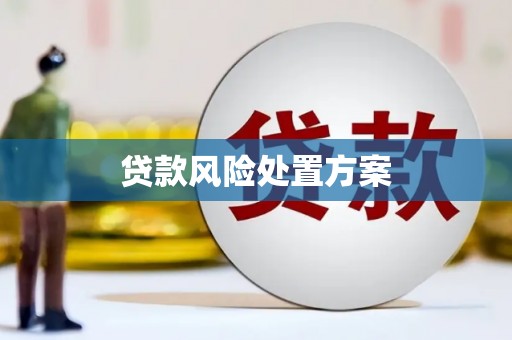 新泰贷款风险处置方案