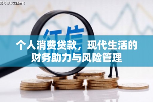 新泰个人消费贷款，现代生活的财务助力与风险管理