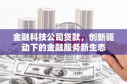 新泰金融科技公司贷款，创新驱动下的金融服务新生态