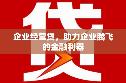 新泰企业经营贷，助力企业腾飞的金融利器