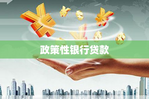 新泰政策性银行贷款