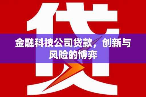 新泰金融科技公司贷款，创新与风险的博弈