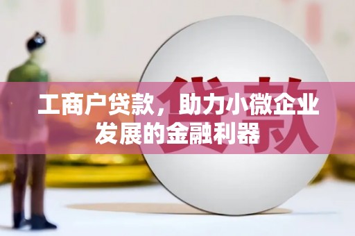 新泰工商户贷款，助力小微企业发展的金融利器