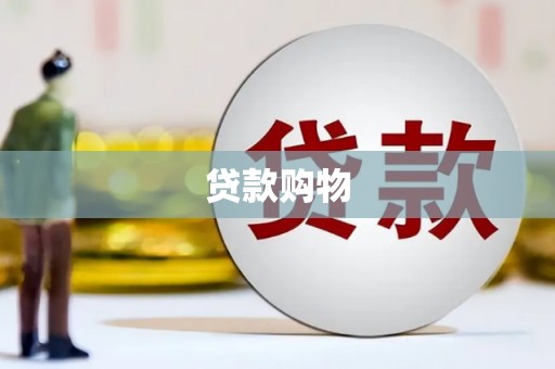 新泰贷款购物