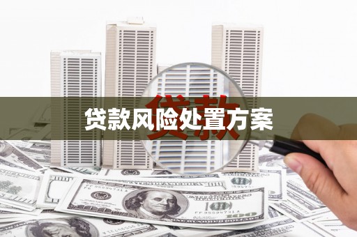 新泰贷款风险处置方案