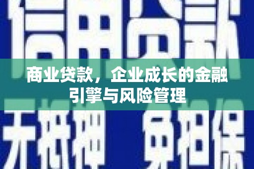 新泰商业贷款，企业成长的金融引擎与风险管理