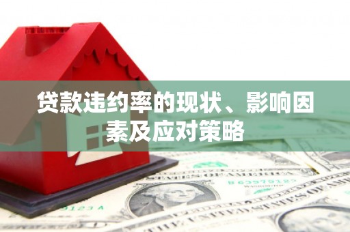 新泰贷款违约率的现状、影响因素及应对策略