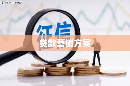 新泰贷款营销方案