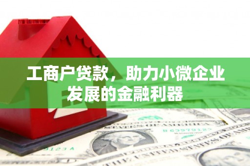 新泰工商户贷款，助力小微企业发展的金融利器