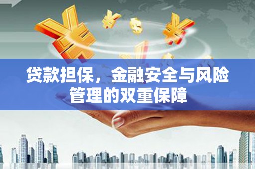新泰贷款担保，金融安全与风险管理的双重保障