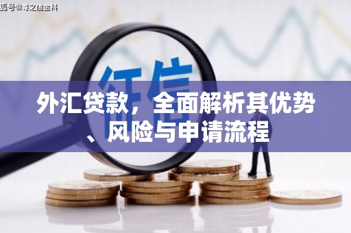 新泰外汇贷款，全面解析其优势、风险与申请流程
