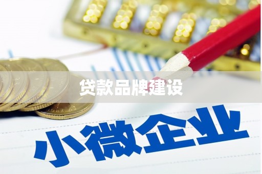 新泰贷款品牌建设