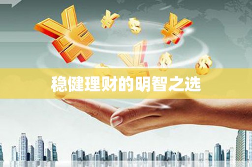新泰稳健理财的明智之选