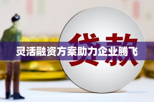 新泰灵活融资方案助力企业腾飞