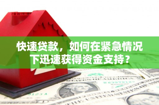 新泰快速贷款，如何在紧急情况下迅速获得资金支持？