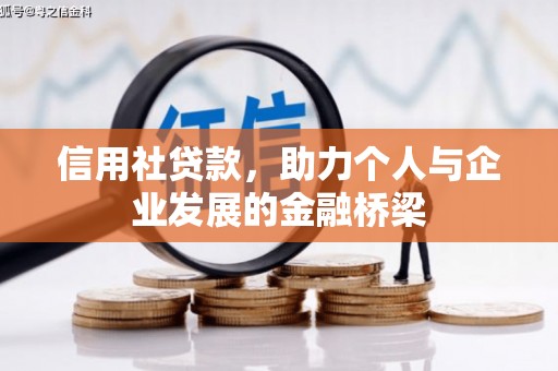 新泰信用社贷款，助力个人与企业发展的金融桥梁