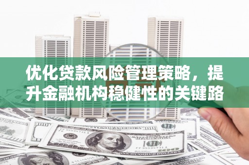 新泰优化贷款风险管理策略，提升金融机构稳健性的关键路径