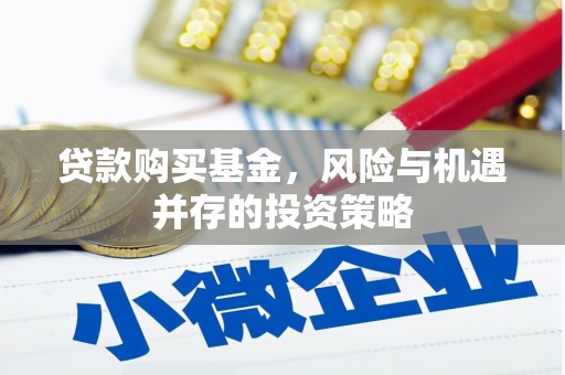 新泰贷款购买基金，风险与机遇并存的投资策略