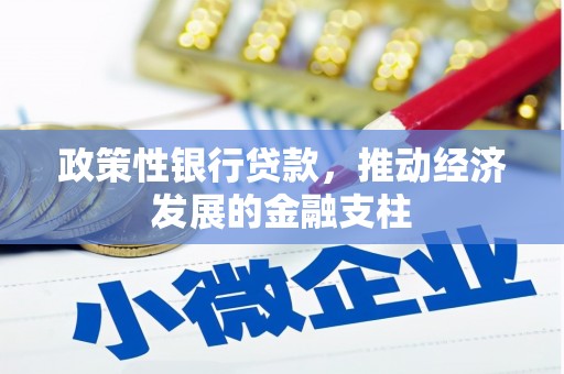 新泰政策性银行贷款，推动经济发展的金融支柱