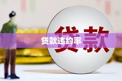 新泰贷款违约率