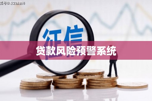 新泰贷款风险预警系统